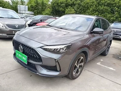 2021 MG Pilot 300TGI Automatic 2WD Trophy Premium Edition, фото 1, лот 10284857