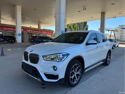 2019 BMW X1 sDrive18Li Premium Model, фото 1, лот 10401372