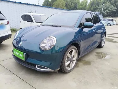 2023 Ora Good Cat 401km Standard Range Luxury LFP, фото 2, лот 11012682