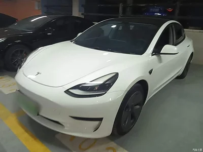 2021 Tesla Model 3 Standard Range Rear-Wheel Drive Upgrade 3D6, фото 2, лот 10369678