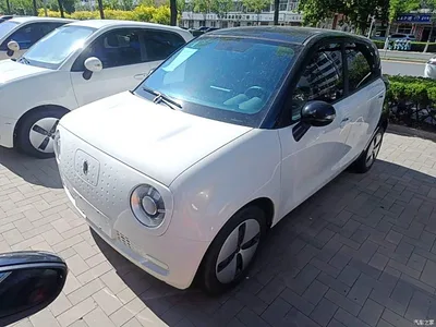 2021 Ora Black Cat 301km Basic Model, фото 2, лот 10330557