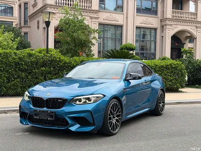 2018 BMW M2 Thunder Edition, фото 1, лот 10477969