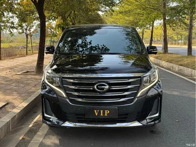 2020 GAC Trumpchi Trumpchi M8 Pilot 390T Ultimate Edition, фото 2, лот 10419007
