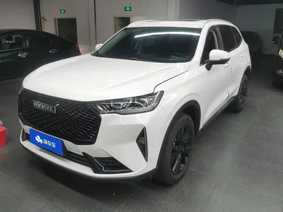 2021 Haval H6 3rd Generation 2.0T Auto 2WD Max, фото 1, лот 11137073