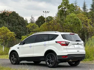 2019 Ford Kuga EcoBoost 180 FWD Titanium Edition China V, фото 4, лот 10293453