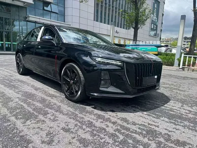 2025 Hongqi H5 2.0T Automatic Mystic Shadow, фото 3, лот 10304198