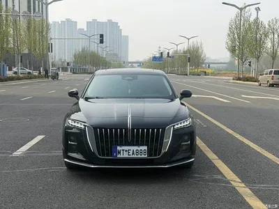 2025 Hongqi H5 2.0T Automatic Qixiang 500,000 Units Commemorative Edition, фото 2, лот 10587671