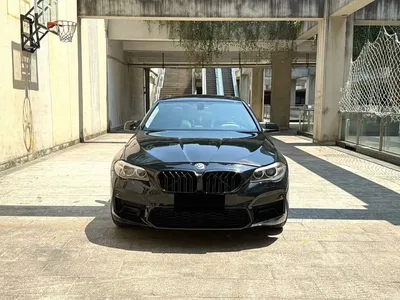 2012 BMW 5 Series 520Li Elegance, фото 2, лот 11496924