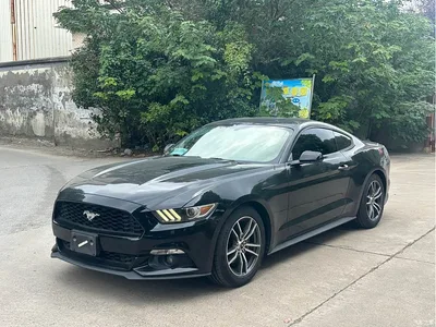 2017 Ford Mustang 2.3T Sport Edition, фото 1, лот 10777428