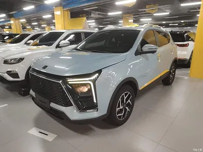 2022 Sehol X6 1.5T DCT Smart Drive Edition, фото 1, лот 11153472