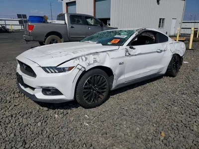 2015 FORD MUSTANG GT, фото 1, лот 10534452