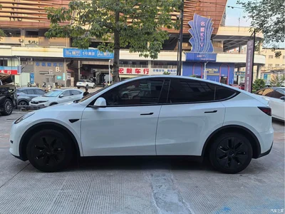 2022 Tesla Model Y Facelift Rear-Wheel Drive Version, фото 4, лот 11178990
