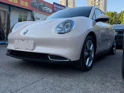 2023 Ora Good Cat 401km Standard Range Luxury LFP, фото 3, лот 10331528