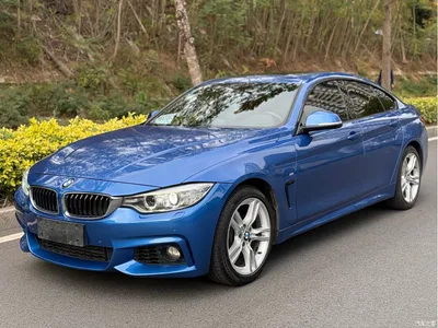 2016 BMW 4 Series 420i Gran Coupe M Sport, фото 1, лот 10421097