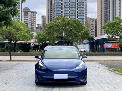 2021 Tesla Model 3 Standard Range Rear-Wheel Drive Upgrade, фото 2, лот 10368591