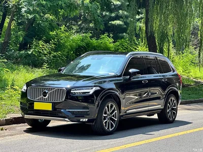 2019 Volvo XC90 T6 Momentum Edition 7-Seater China VI, фото 1, лот 10361853