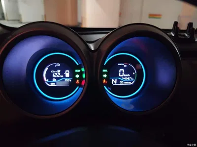2021 Ora Black Cat 301km Pet Edition, фото 4, лот 10330785