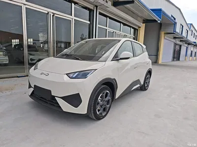 2025 BYD Seagull Smart Drive Edition 405km Free Edition, фото 1, лот 10662366