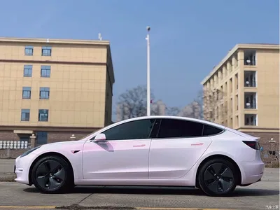 2020 Tesla Model 3 Standard Range Rear-Wheel Drive Upgrade, фото 4, лот 10352491
