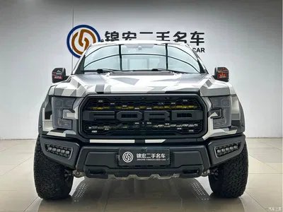 2019 Ford F-150 Raptor 3.5T Raptor Performance Enhanced Edition, фото 2, лот 10281165