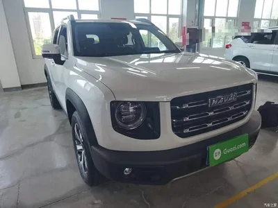 2022 Haval Big Dog 1.5T DCT FWD Labrador Edition, фото 4, лот 10361481