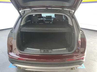 2020 Lincoln Adventurer 2.0T 2WD Premium Enjoyment Edition, фото 4, лот 10357846