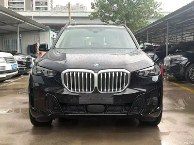 2026 BMW X5 xDrive 30Li Luxury M Sport Night Edition Package, фото 2, лот 10463384