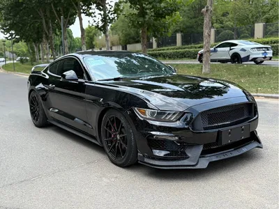 2016 Ford Mustang 2.3T Performance Edition, фото 3, лот 10295196