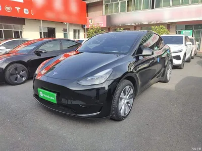 2022 Tesla Model Y Rear-Wheel Drive Version, фото 2, лот 10374247