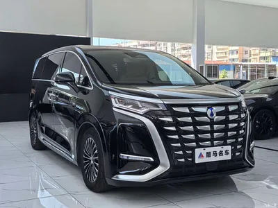 2024 Denza D9 DM-i 970 Luxury, фото 3, лот 10345794