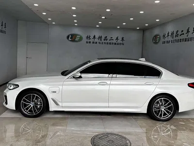2022 BMW 5 Series New Energy Facelift 535Le M Sport Package, фото 4, лот 10444474