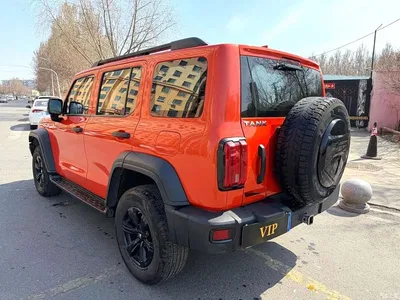 2021 Tank 300 Off-road Version 2.0T Conqueror, фото 4, лот 10344426