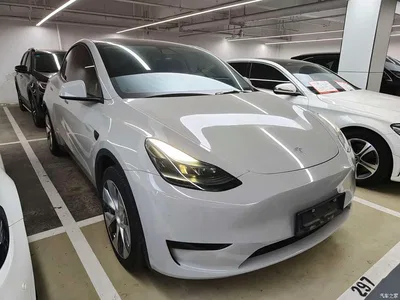 2022 Tesla Model Y Rear-Wheel Drive Version, фото 3, лот 10479208