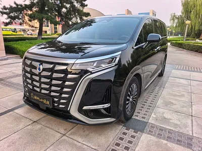 2022 Denza D9 DM-i 970 AWD Flagship, фото 3, лот 11468488