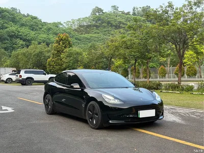 2022 Tesla Model 3 Model Rear-Wheel Drive Version, фото 3, лот 11206314
