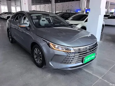 2024 BYD Destroyer 05 Glory Edition DM-i 55KM Luxury, фото 4, лот 10259187