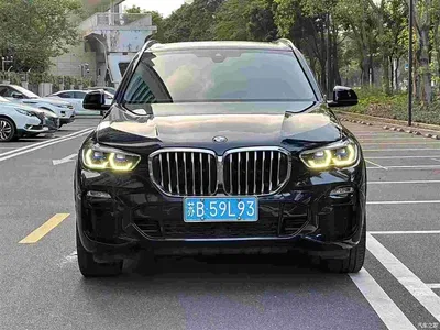 2019 BMW X5 (Import) xDrive40i M Sport Package, фото 2, лот 11101846