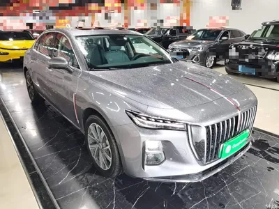 2025 Hongqi H5 PHEV 170 Super Hybrid Edition, фото 4, лот 10327615