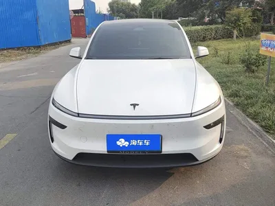 2025 Tesla Model Y Model Long Range All-Wheel Drive Launch Edition, фото 2, лот 10689682