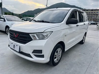 2020 Wuling Motors Wuling Hongguang 1.2L S Basic China VI LSI, фото 1, лот 10367253