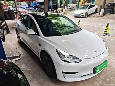 2022 Tesla Model 3 Model Rear-Wheel Drive Version, фото 4, лот 10370112