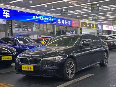 2019 BMW 5 Series 525Li M Sport Package, фото 1, лот 11409025