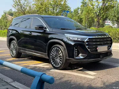 2022 Jetour X90 Zilong 2.0T DCT Ever-Victorious Edition 7-Seater, фото 3, лот 10430628