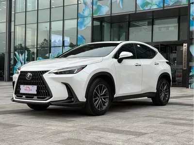 2023 Lexus NX 350h FWD Joy Creation Edition, фото 1, лот 10316359