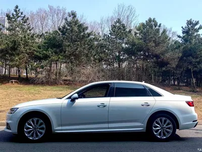 2019 Audi A4L 40 TFSI Progressive (China VI), фото 3, лот 10482627