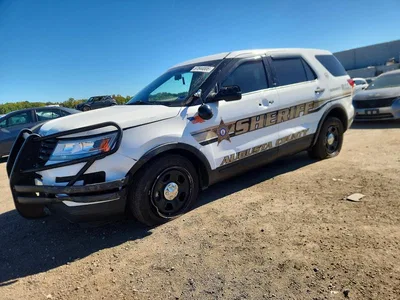 2018 FORD EXPLORER POLICE INTERCEPTOR, фото 1, лот 11575433