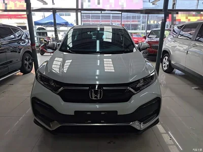2021 Honda XR-V 220TURBO CVT Comfort Edition, фото 3, лот 11180931