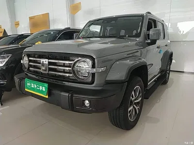 2021 Tank 300 Urban Edition 2.0T Stylish, фото 2, лот 10887543