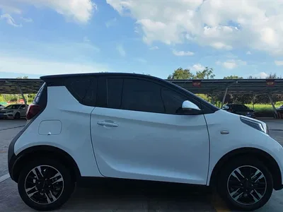 2024 QQ New Energy Little Ant 251km True Love Edition, фото 4, лот 10823529