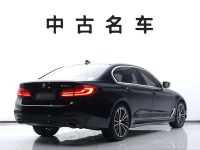 2020 BMW 5 Series 530Li Exclusive M Sport Package, фото 4, лот 10476658